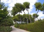 ÈÑÏÀÍÈß. Malaga. Ó÷àñòîê